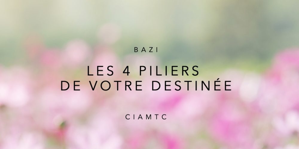 Consultations BaZi CIAMTC